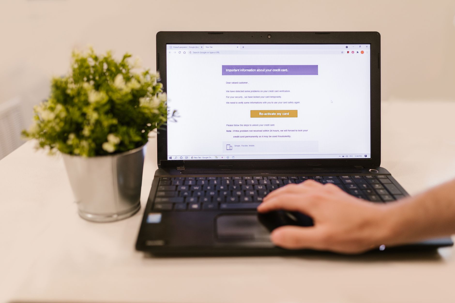 A person reading email on a laptop beside a potted plant, representing checking for a new Instagram data export download link